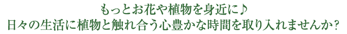 もっとお花や植物を身近に♪日々の生活に植物と触れ合う心豊かな時間を取り入れませんか?