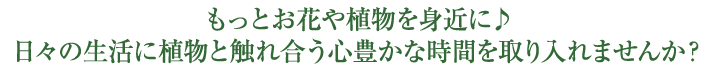 もっとお花や植物を身近に♪日々の生活に植物と触れ合う心豊かな時間を取り入れませんか？