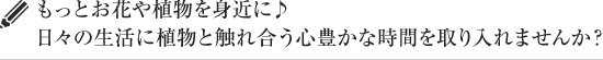もっとお花や植物を身近に♪ 日々の生活に植物と触れ合う心豊かな時間を取り入れませんか？